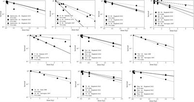 A review on lymphocyte radiosensitivity and its impact on radiotherapy